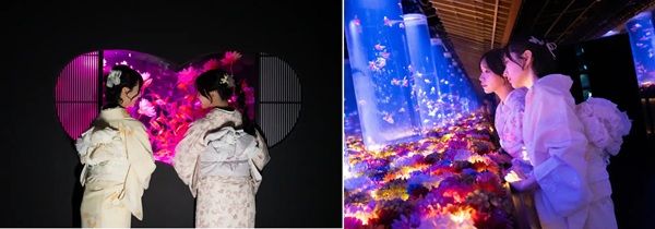 【東京都中央区】アートアクアリウム美術館GINZAに着物レンタルプランが登場！着物で企画展を楽しもう