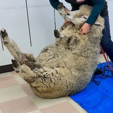 【東京都新宿区・町田市】新宿オカダヤ本店＆町田店で25秋冬シーズンの編み物を楽しむ！約8,000種の毛糸が登場