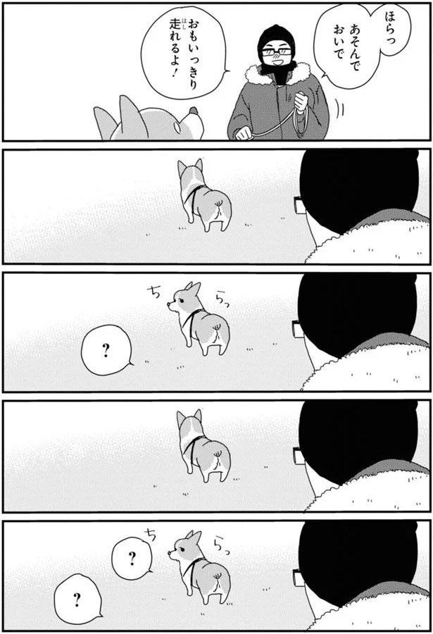 ほらっ あんでおいで (C)らくだ／KADOKAWA