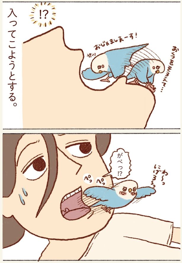 入ってこようとする （C）谷小夏／KADOKAWA