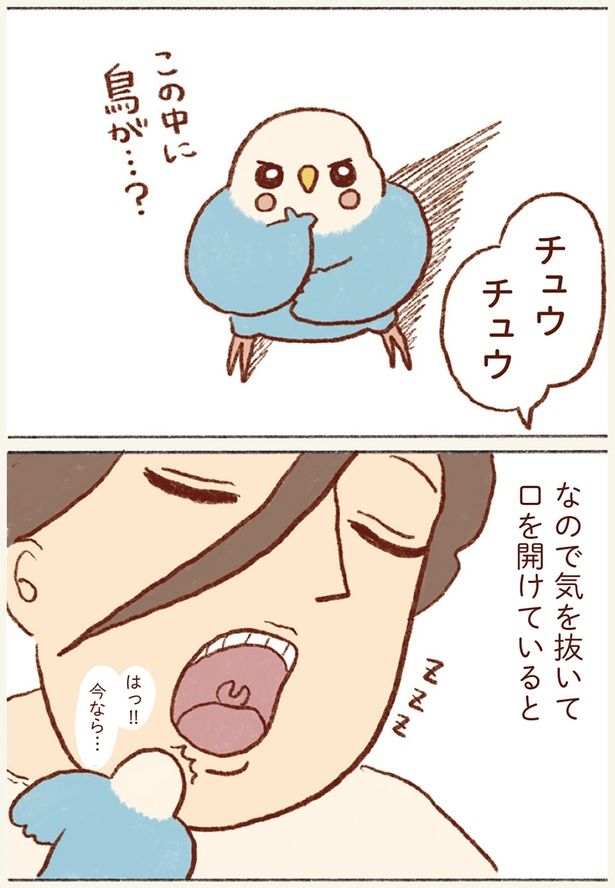 気を抜いて口を開けていると… （C）谷小夏／KADOKAWA