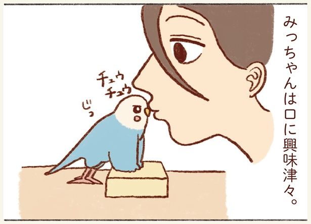 みっちゃんは口に興味津々 （C）谷小夏／KADOKAWA