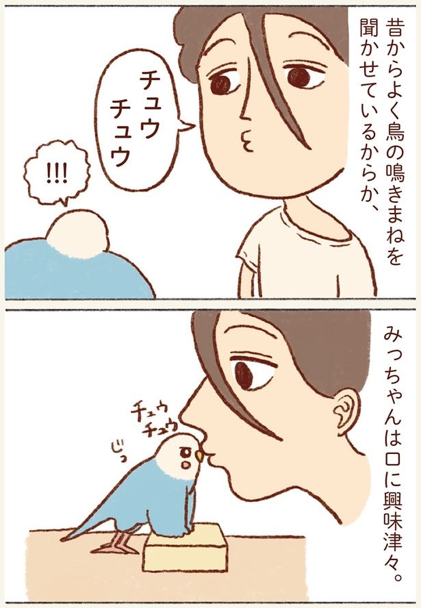 チュウチュウ （C）谷小夏／KADOKAWA