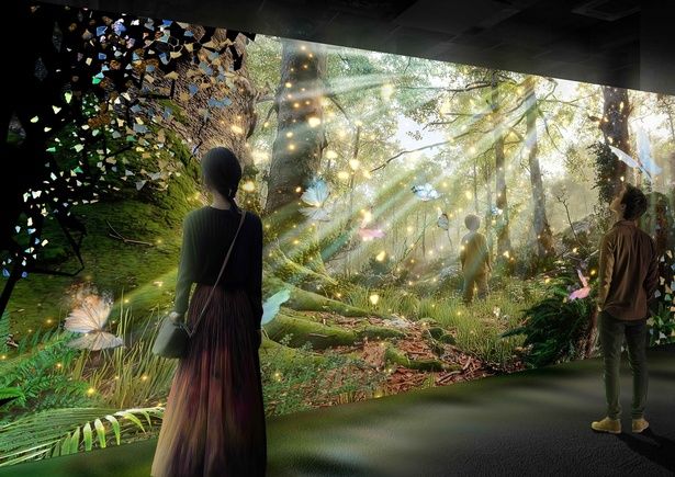 エリア2：緑陰の記憶— ガウディの故郷・レウスの森 —