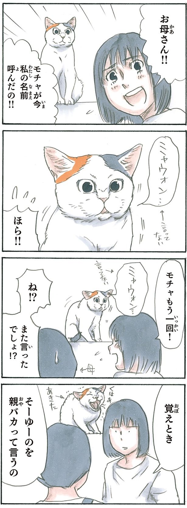 名前を呼んでくれる猫 （C）にごたろ／KADOKAWA