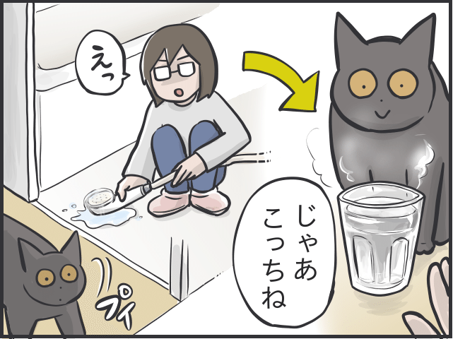 猫とのルーティン4.PNG