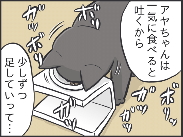 猫とのルーティン2.PNG