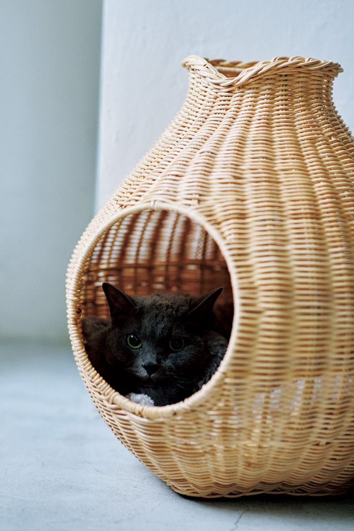 おしゃれなものが多すぎる！おしゃれもインテリアも楽しくなる猫グッズ8選