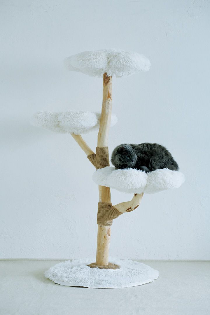 おしゃれなものが多すぎる！おしゃれもインテリアも楽しくなる猫グッズ8選