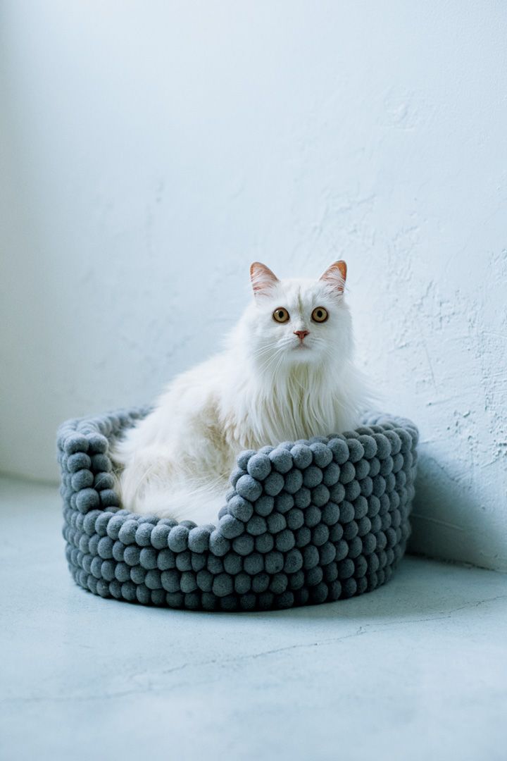 おしゃれなものが多すぎる！おしゃれもインテリアも楽しくなる猫グッズ8選