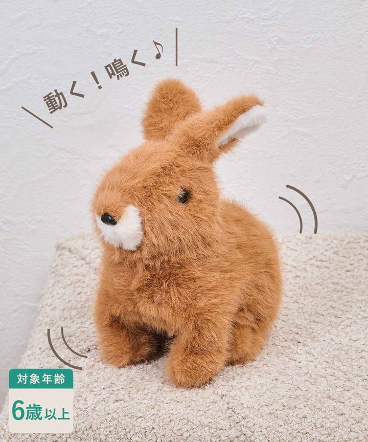 画像1: 出典：3COINS