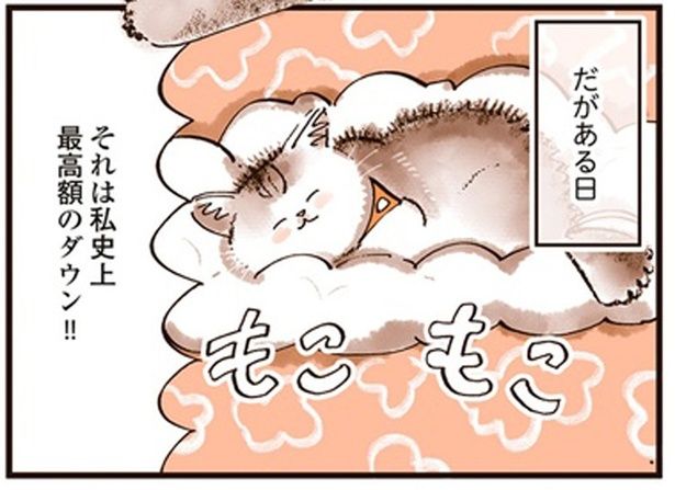 私史上最高額のダウン！！ （C）谷口菜津子／KADOKAWA