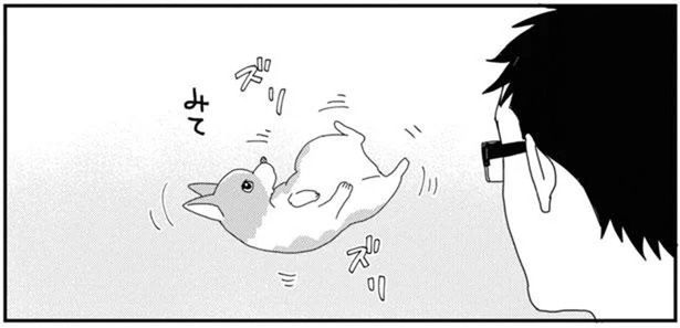 ケンカ売ってる？掃除機をかけたのに仕事を増やすコーギー (C)らくだ／KADOKAWA