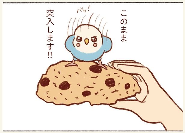 スコーンと一緒に… （C）谷小夏／KADOKAWA