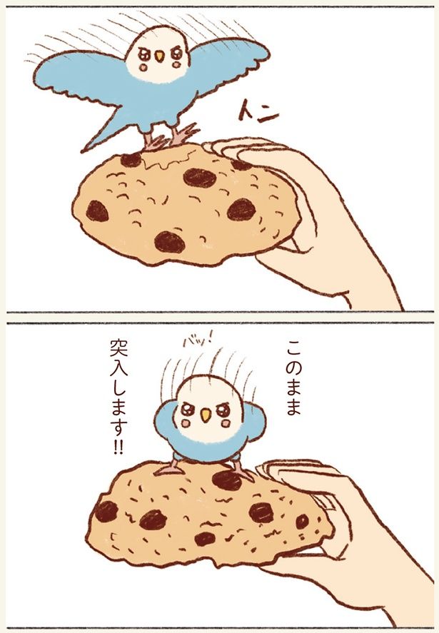 このまま突入します！！ （C）谷小夏／KADOKAWA