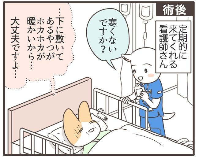 アラフィフが子宮全摘／宮島もっちー