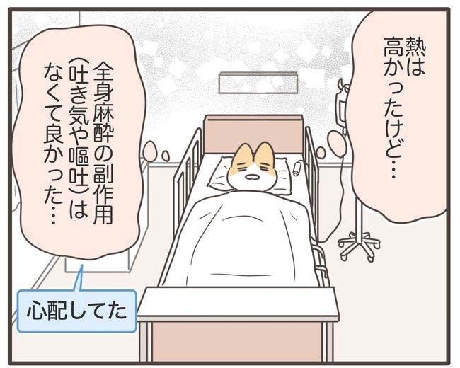 アラフィフが子宮全摘／宮島もっちー