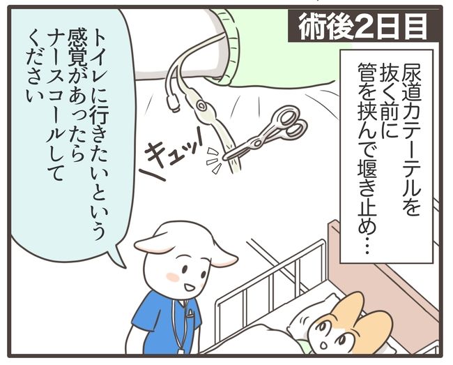 アラフィフが子宮全摘／宮島もっちー