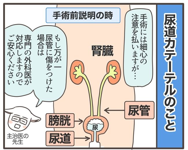 アラフィフが子宮全摘／宮島もっちー