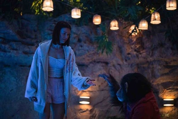 【写真を見る】大学生ルーシーが幼い頃から暮らしてきたチンパンジーのベンに再会！ [c]2025 Paramount Pictures. All Rights Reserved.