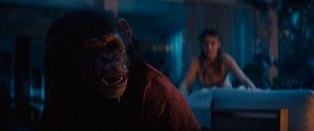 『おさるのベン』は2月20日(金)より公開 [c]2025 Paramount Pictures. All Rights Reserved.