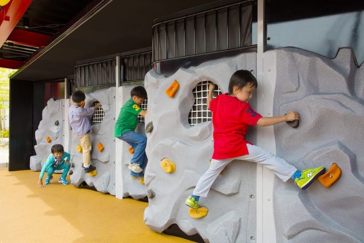 コール・ロッククライミング・ウォール