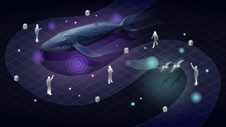 「音のXR体験」イメージ