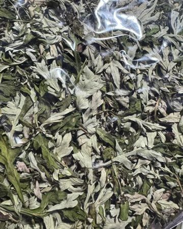 【長野県諏訪市】信州産よもぎを原料にした化粧水と保湿バームがクラウドファンディングに登場！