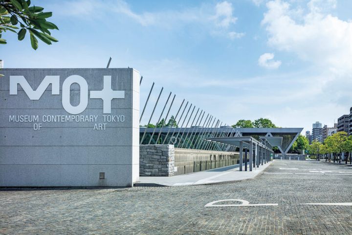 『ソル・ルウィット オープン・ストラクチャー』 場所：東京都現代美術館（東京都） 開催：2025年12月25日～2026年4月2日 開館 ： 10:00～18:00（入場は閉館の30分前まで） 閉館 ：月曜日（2月23日は開館）、2月24日 03-5245-4111 Photo: Kenta Hasegawa