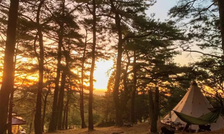 「駐車場問題」を解決！普通免許で運転できるコスパ最強なキャンピングカーが優秀すぎる！