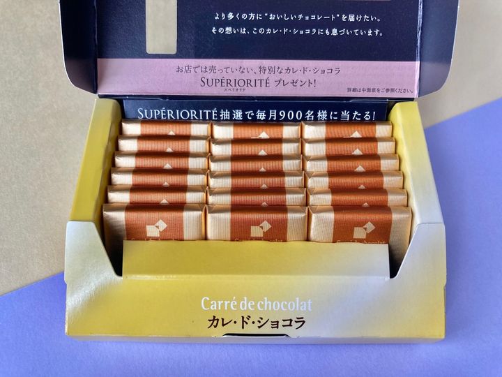 「1枚でも満足感あり！」「癒される！」【森永製菓】モンブランの味わいが楽しめるカレ・ド・ショコラ新作！