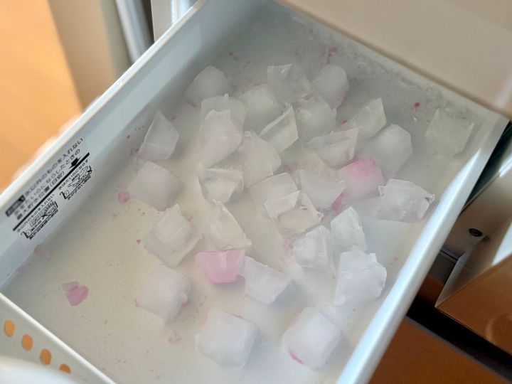 これは便利！ 製氷機の掃除に100均の“アノ粉”が大活躍！【ダイソー・セリア・キャンドゥ】