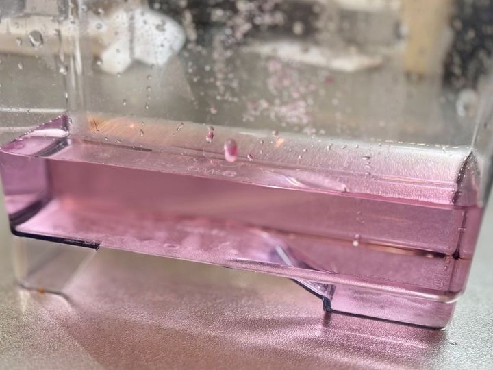 これは便利！ 製氷機の掃除に100均の“アノ粉”が大活躍！【ダイソー・セリア・キャンドゥ】