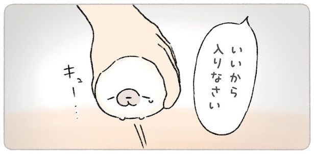 いいから入りなさい （C）tapu／KADOKAWA