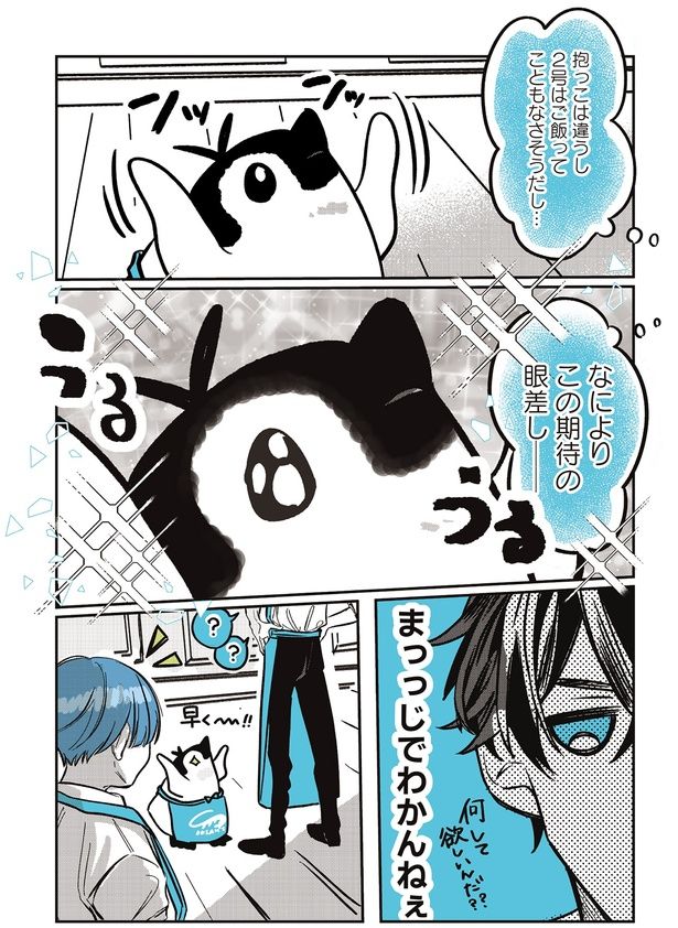 この期待の眼差し── （C）世禕／KADOKAWA