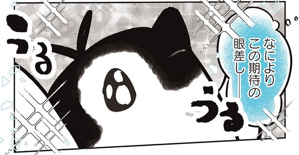 期待の眼差し （C）世禕／KADOKAWA