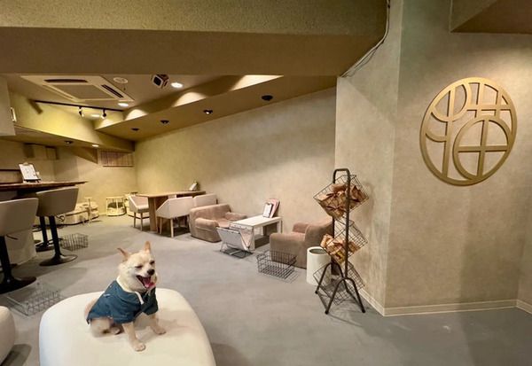 【東京都台東区】“ちょっといい席 いい音楽”で心地よい空間を提供するバー「夜音喫茶 猫奈落」OPEN