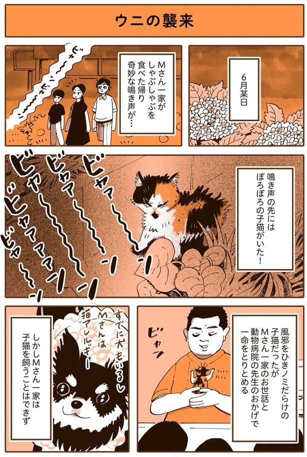 奇妙な鳴き声が… （C）谷口菜津子／KADOKAWA