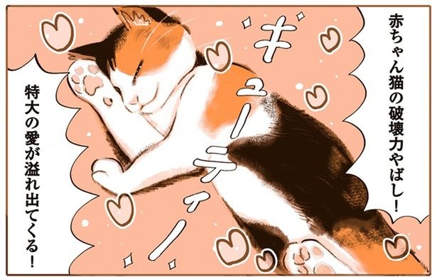 赤ちゃん猫の破壊力やばし！ （C）谷口菜津子／KADOKAWA