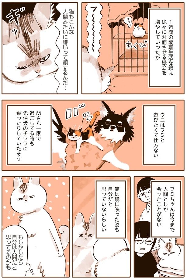 自分は人間だと思ってるのかも （C）谷口菜津子／KADOKAWA
