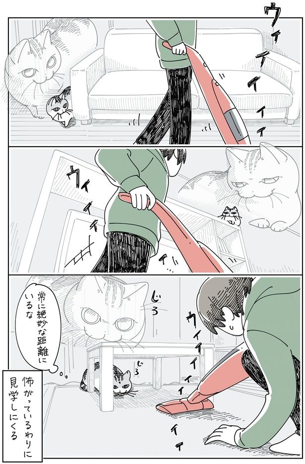 怖がっているわりに （C）キュルZ／KADOKAWA