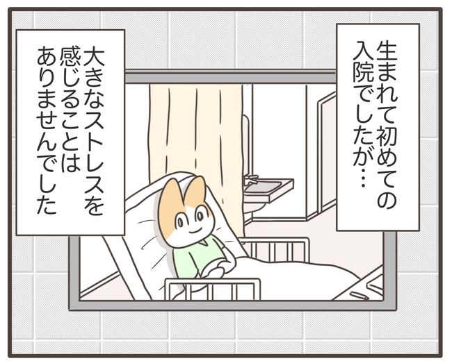 アラフィフが子宮全摘／宮島もっちー