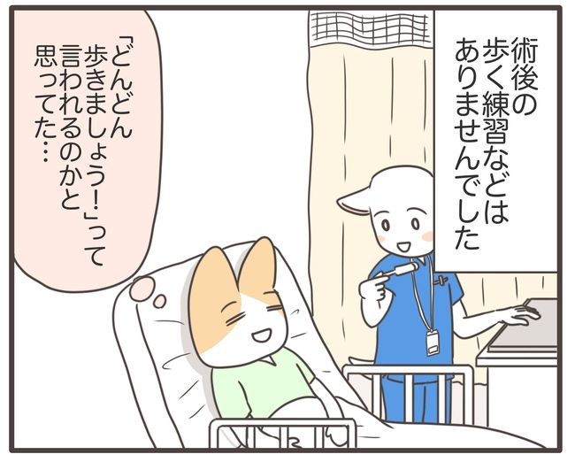 アラフィフが子宮全摘／宮島もっちー