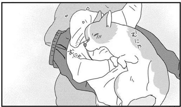 洗濯物の上で眠るワンコにお仕置き。えっ動じてない？ (C)らくだ／KADOKAWA