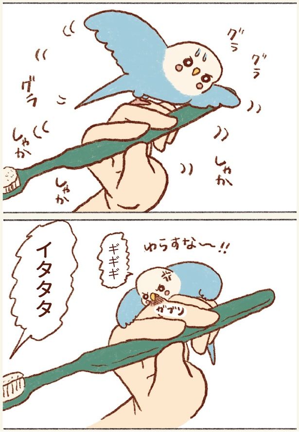 ゆらすな〜！！ （C）谷小夏／KADOKAWA