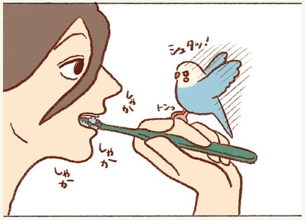 歯磨き中に… （C）谷小夏／KADOKAWA