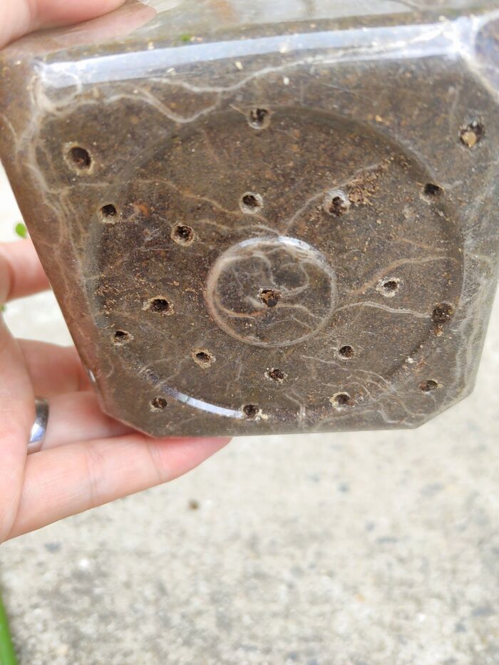 『味噌の空き容器』が万能アイテムに大変身♡捨てちゃう前にやってみて♪