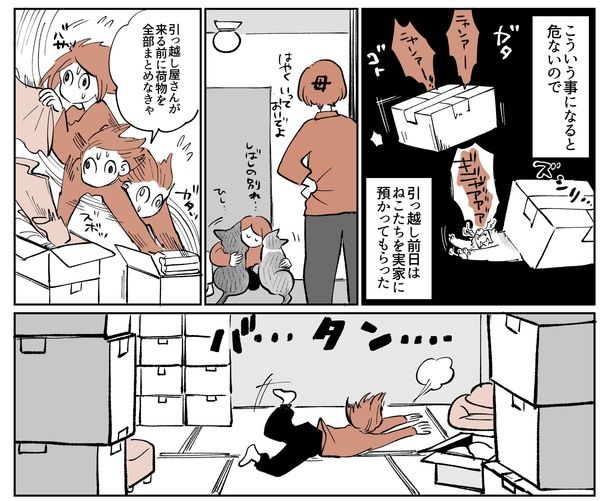 「こねこのドレイ11」3/18 画像提供：長谷川ろくさん