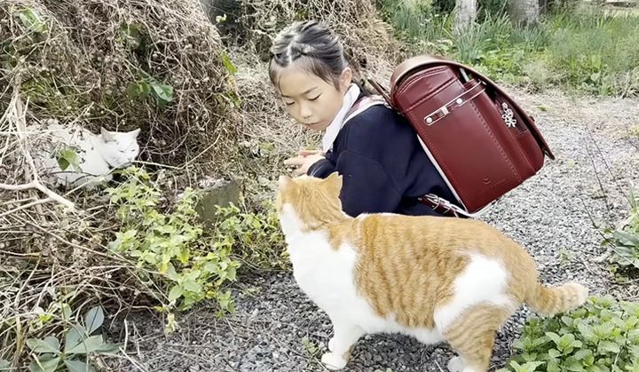 仲良しな女の子と猫