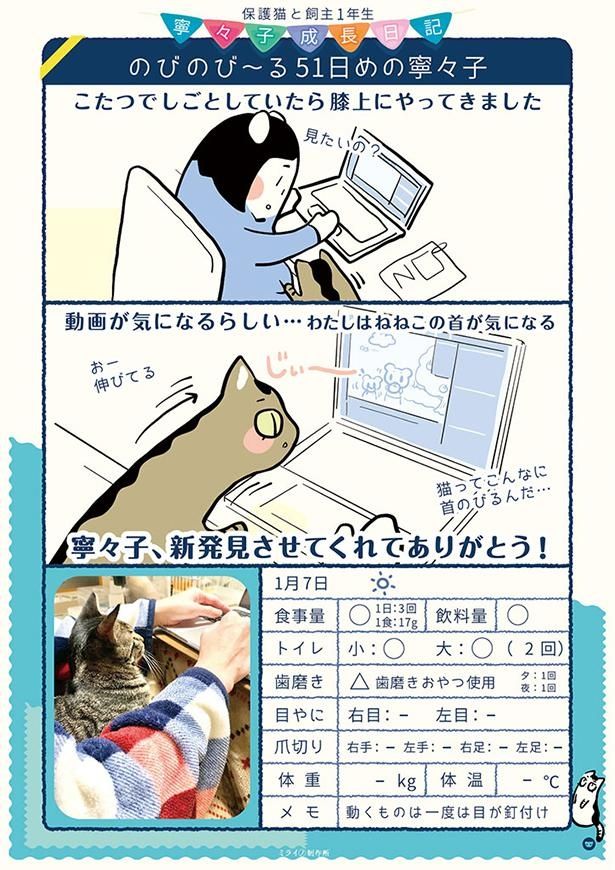 のびのび～る51日めの寧々子